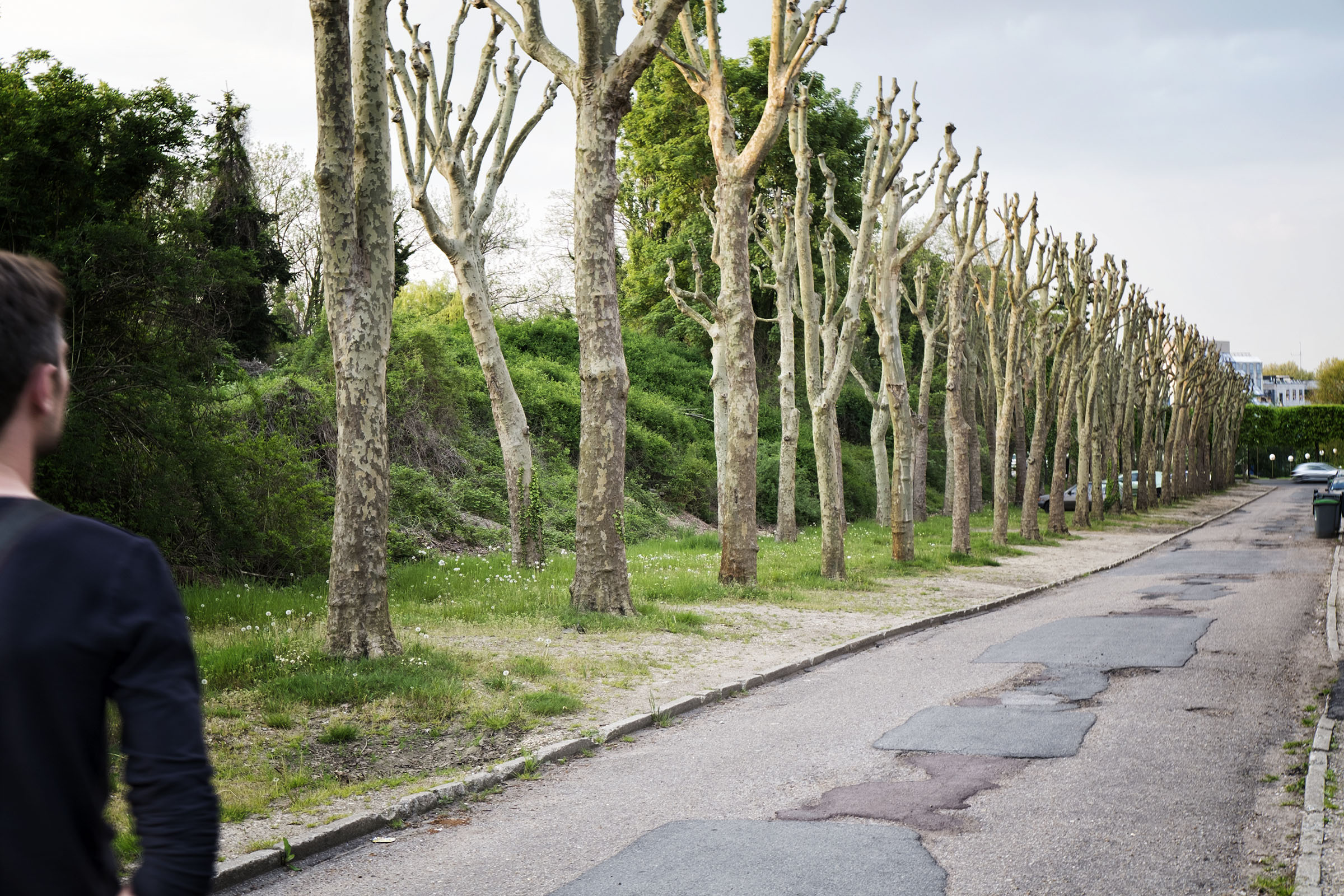 Antony Jean ZAY arbres a la parade.jpg
